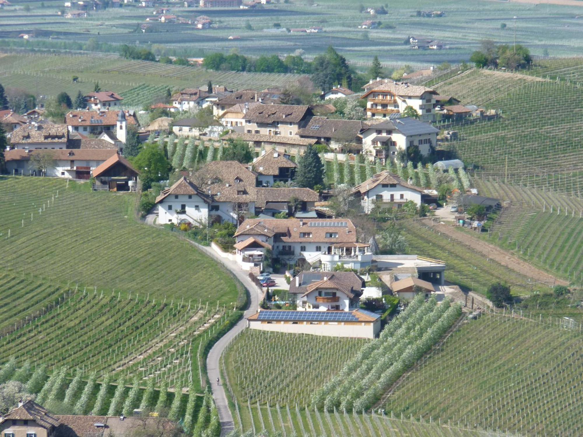 Ferienwohnungen Lanserhof Appiano Sulla Strada Del Vino Exterior foto