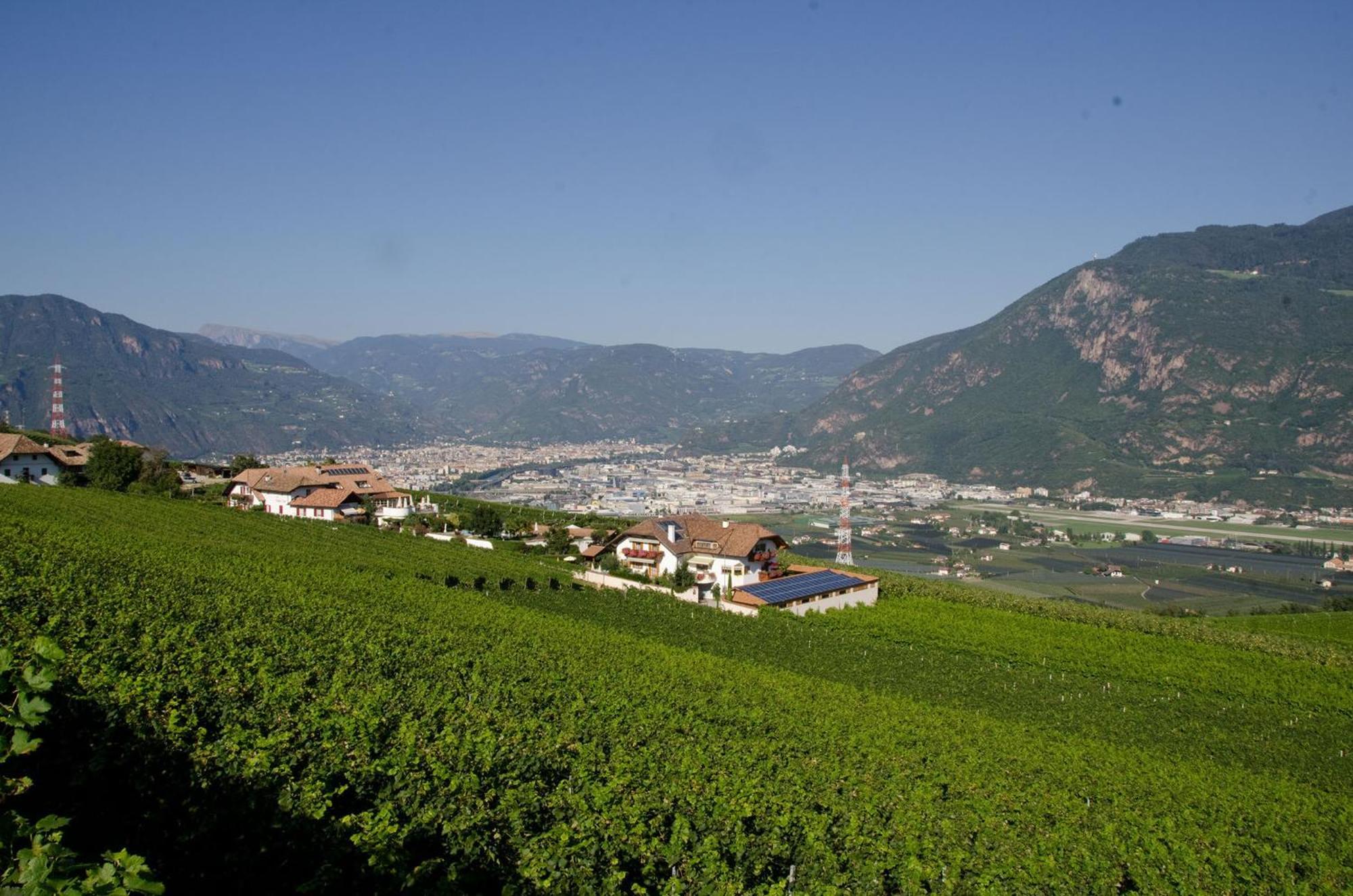 Ferienwohnungen Lanserhof Appiano Sulla Strada Del Vino Exterior foto